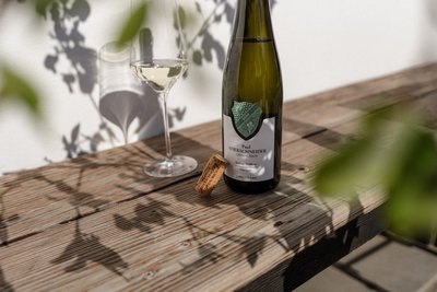 Wachauer Weinfrühling 2025