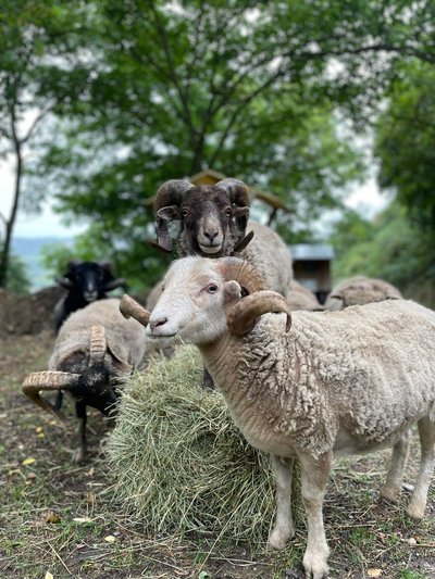 Echt zur Natur - das ganze Jahr.