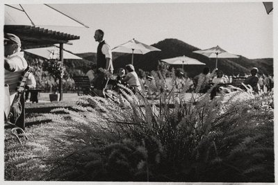 Heurigen-Termine 2025